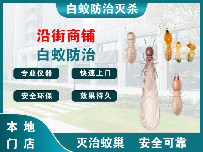 义乌市沿街商铺白蚁防治
