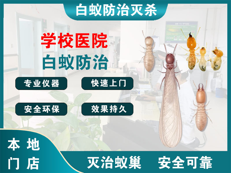 义乌市学校医院白蚁防治