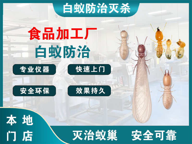义乌市食品加工厂白蚁防治
