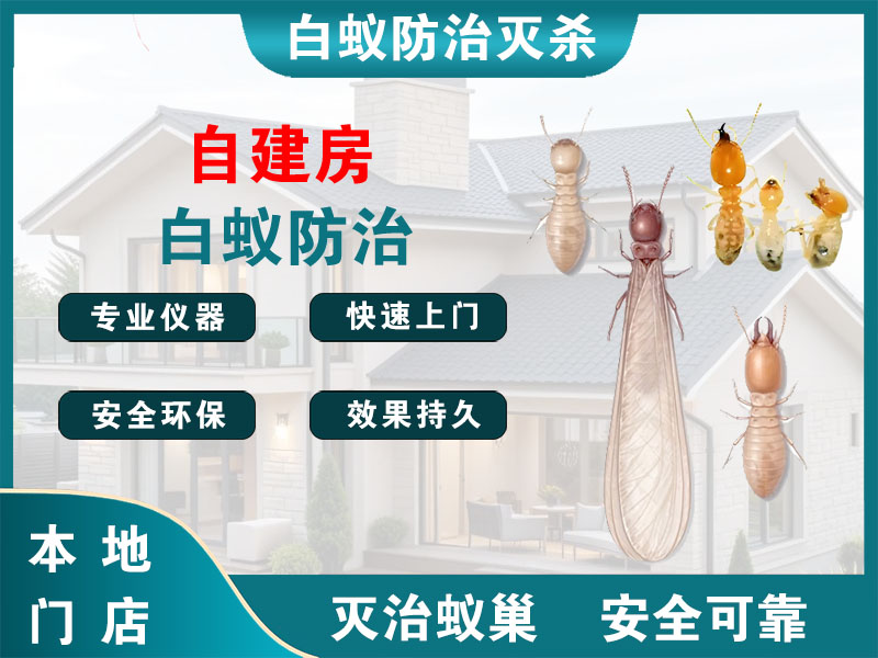 义乌市自建房白蚁防治