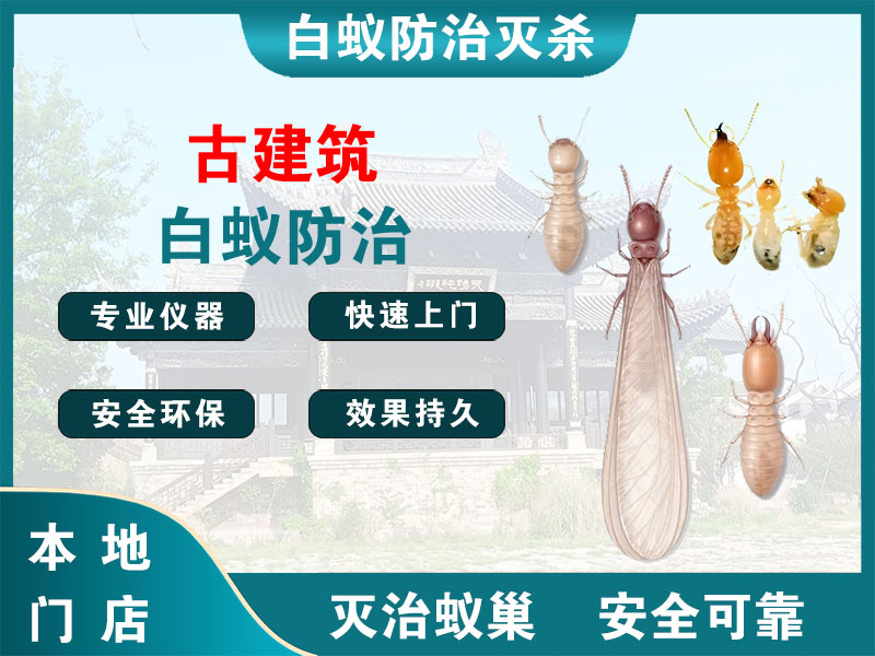 义乌市古建筑白蚁防治