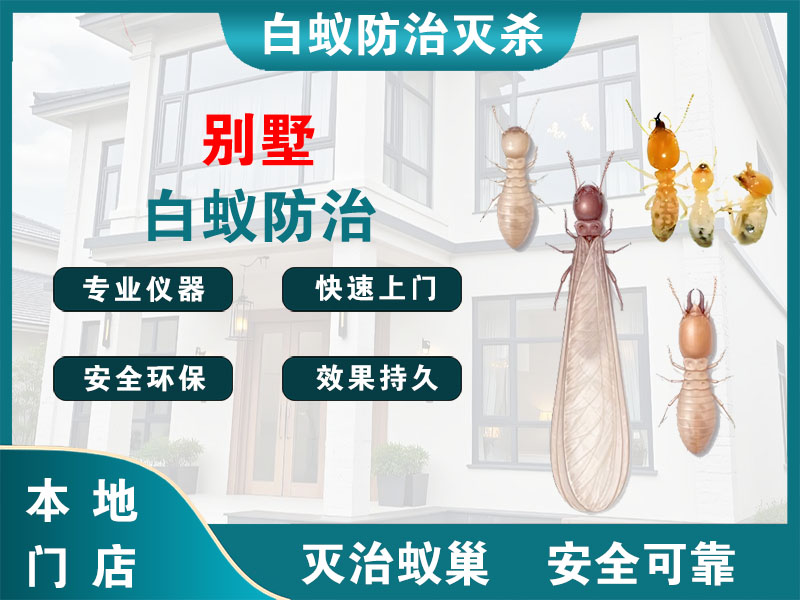 义乌市别墅白蚁防治