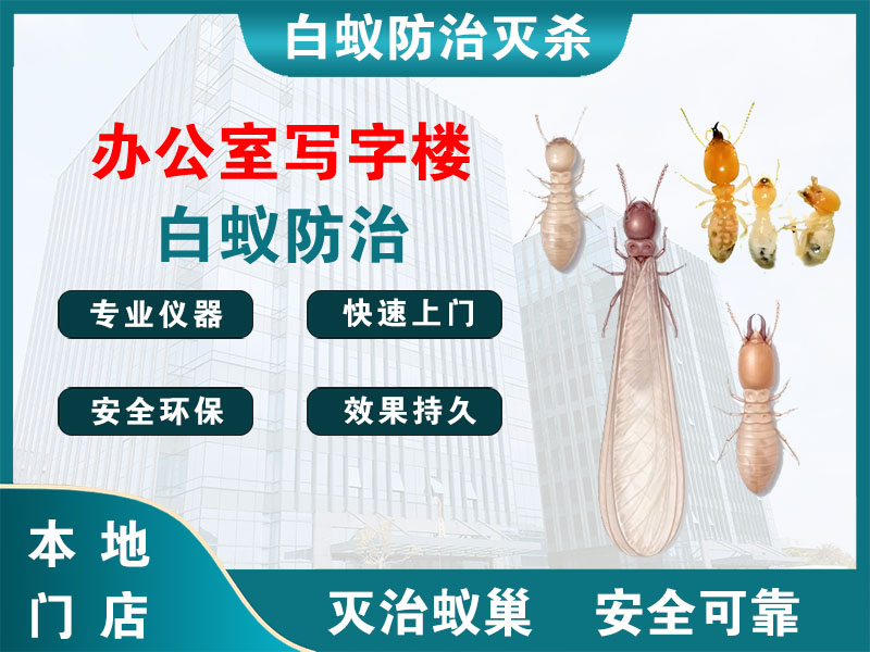 义乌市办公室写字楼白蚁防治